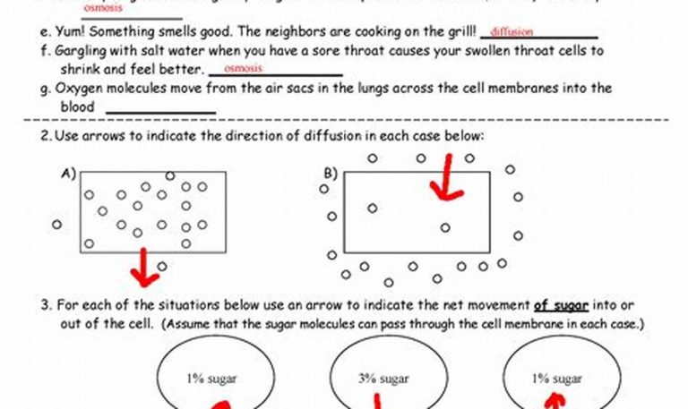 Scale Drawing Worksheets