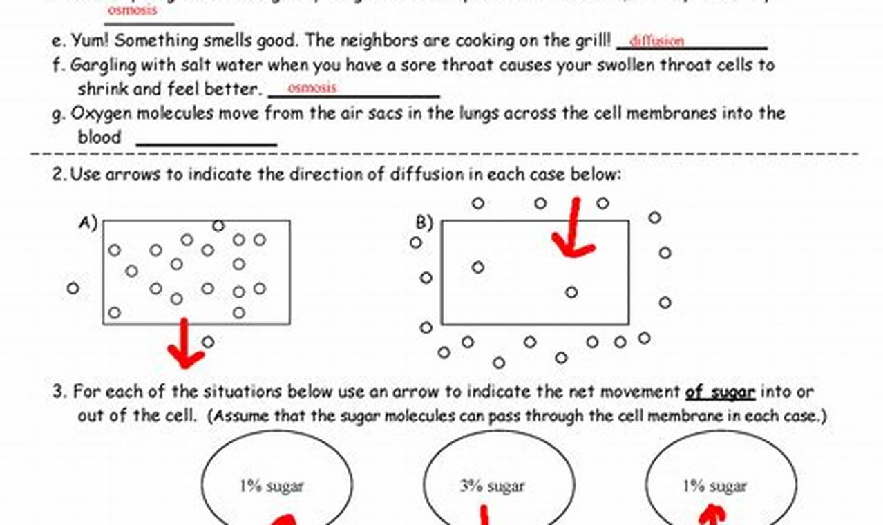 Limiting Reactant Worksheet