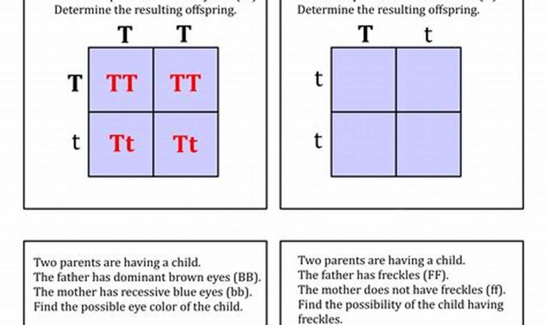 Single Replacement Reaction Worksheet