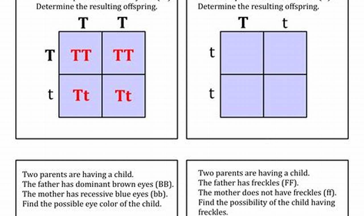 Special Right Triangle Worksheet