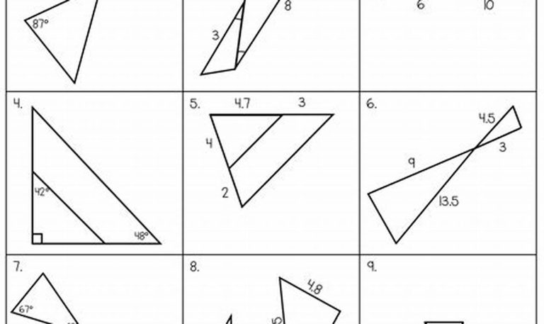 Measuring Units Worksheet Answers