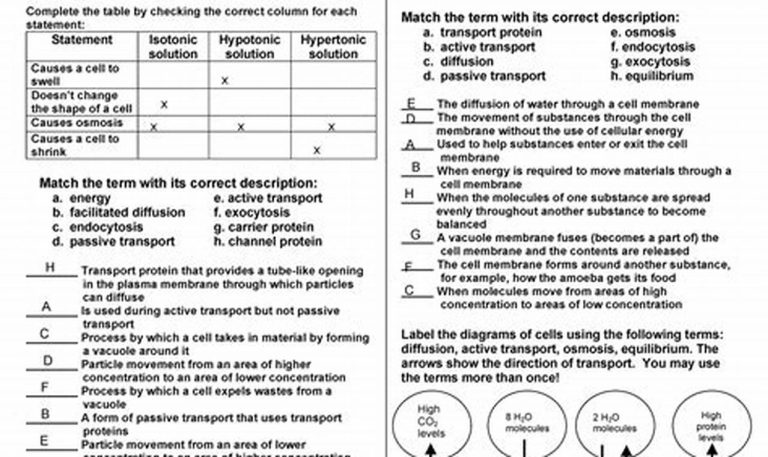 Non Verbal Communication Worksheets