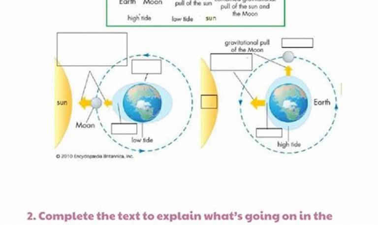 Tides Worksheet Answer Key