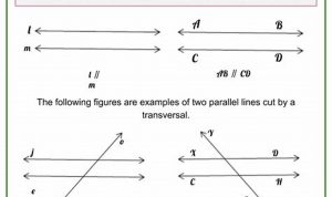 Parallel Lines Cut By A Transversal Worksheet