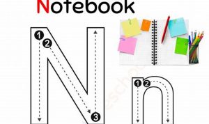 Trace Letter N Worksheet