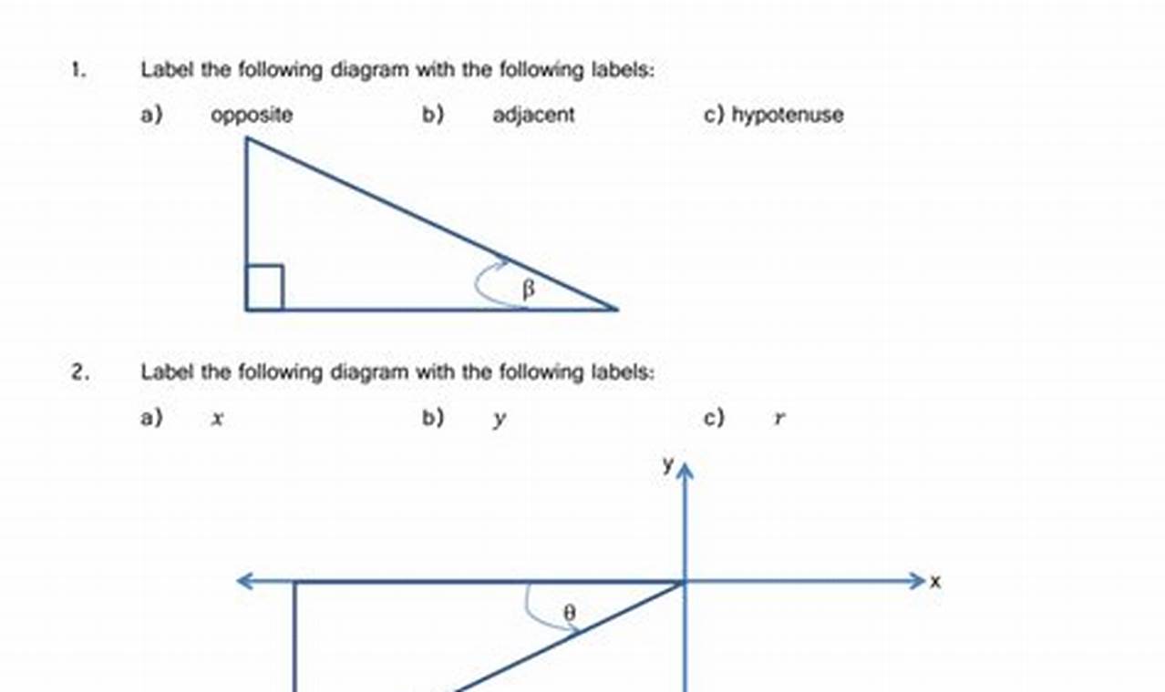 Angle Bisector Worksheet