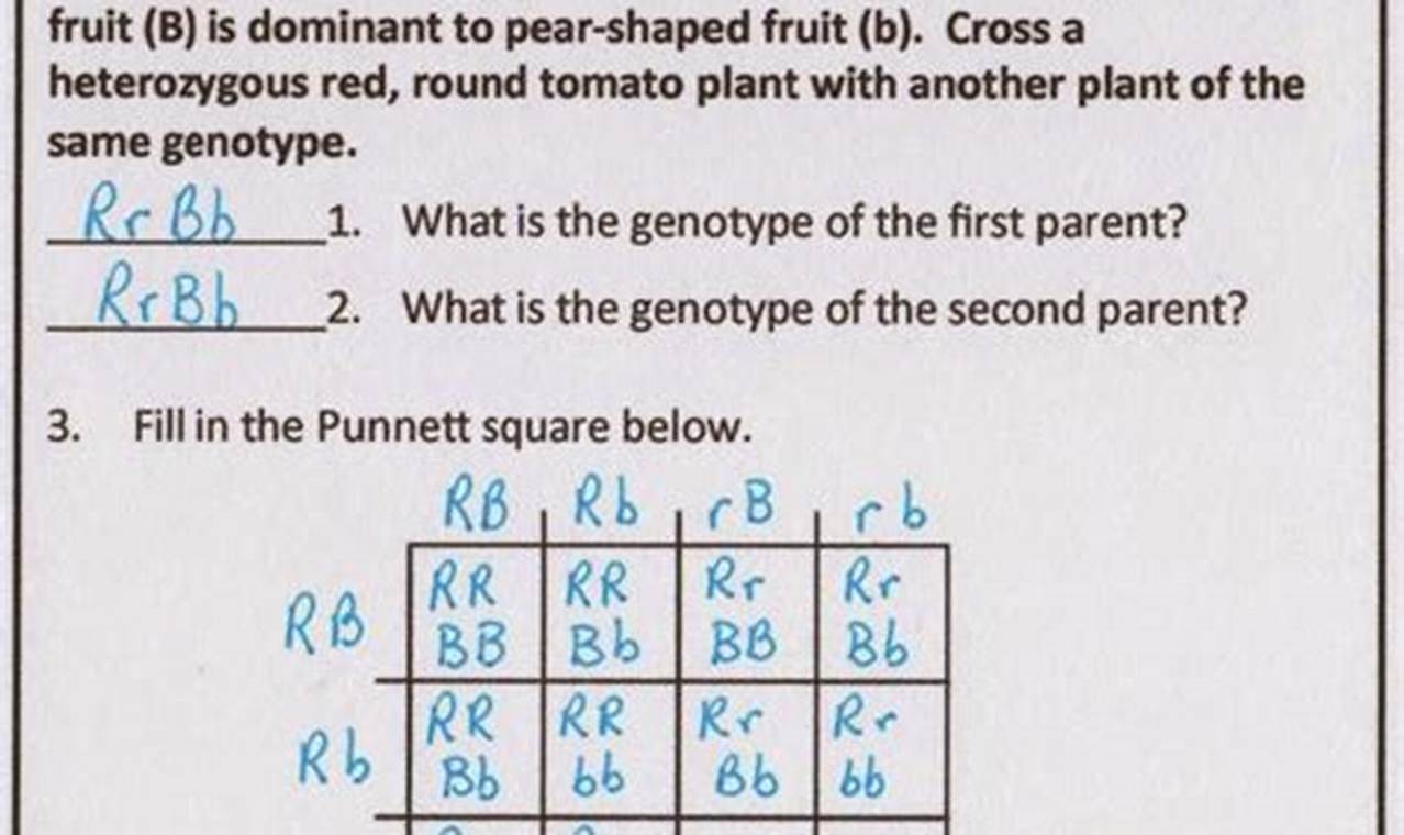 Standard Form To Slope Intercept Form Worksheet