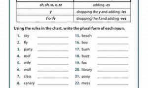 Plural Nouns Worksheet 4th Grade