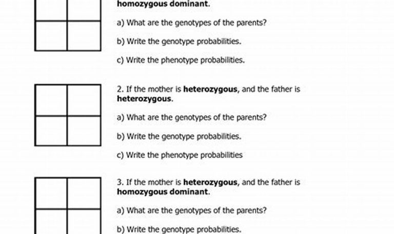 Punnett Squares Practice Worksheet