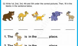 Grade 1 Ordinal Numbers Worksheet 1-10