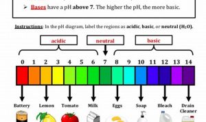 Worksheet Ph Calculations