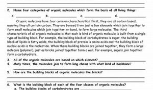 Organic Molecules Worksheet Review