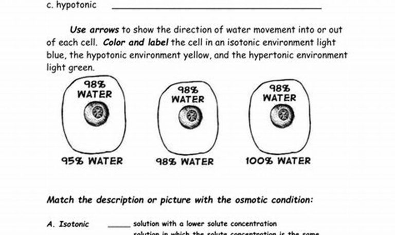 Osmosis And Tonicity Worksheet