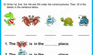 2nd Grade Ordinal Numbers Worksheet Grade 2