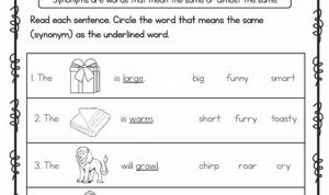 2nd Grade Synonyms Worksheet For Grade 2