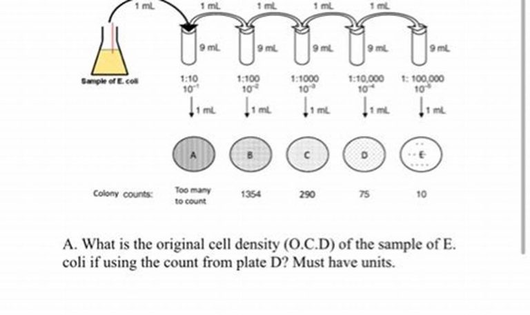 Serial Dilutions Worksheet