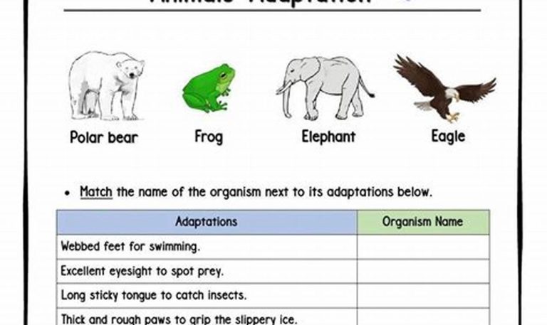 Animal Adaptations Worksheets Grade 4