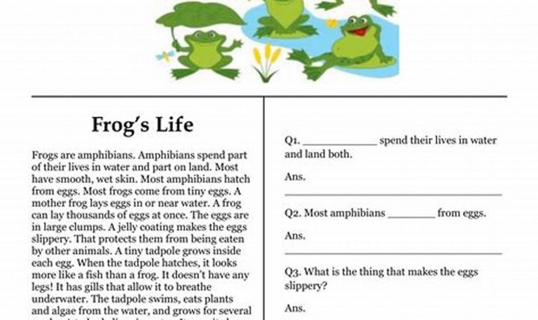 Reading Comprehension Worksheets 3rd Grade