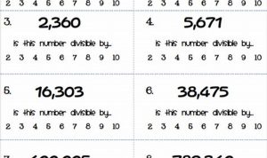 Divisibility Rules Worksheet For Grade 6