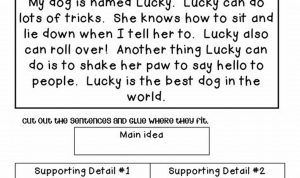 Main Idea And Supporting Details Worksheets 2nd Grade