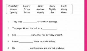 5th Grade Adverbs Of Degree Worksheet