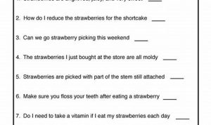 Third Grade Types Of Sentences Worksheets