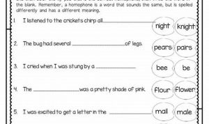 3rd Grade Homonyms Worksheets For Third Grade