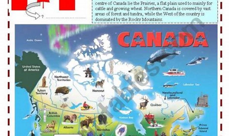 Grade 6 English Worksheets Canada