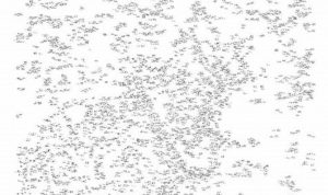 Hard Extreme Dot To Dot Printables 500 Dots