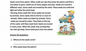 Free 6th Grade Reading Comprehension Worksheets