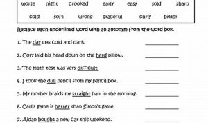 Synonyms And Antonyms Worksheets 5th Grade