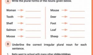 3rd Grade Irregular Plural Nouns Worksheet Grade 3