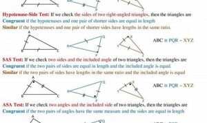 Congruent And Similar Polygons Worksheet