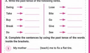 3rd Grade Irregular Verbs Worksheet