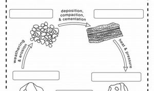 Rock Cycle Worksheets Free Printable