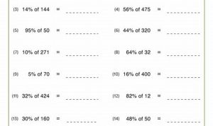 Grade 7 Percentage Worksheets