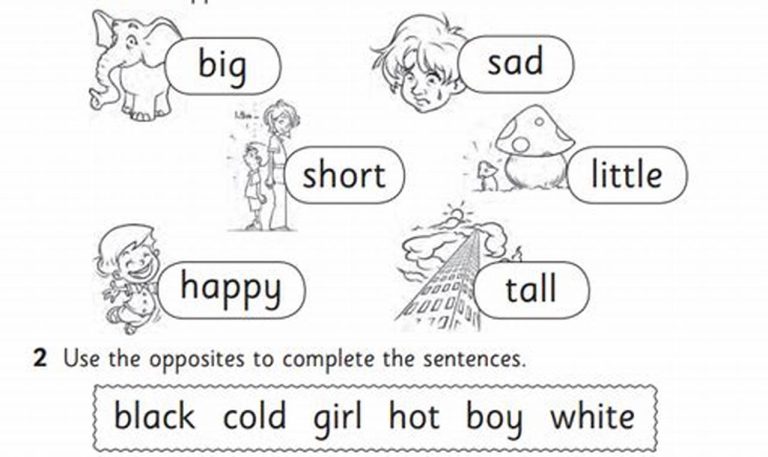 Year 2 English Worksheets Free Download