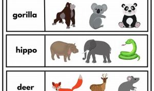 Wild Animals Worksheets For Kindergarten