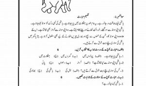 Grade 3 Urdu Comprehension Worksheets For Grade 1