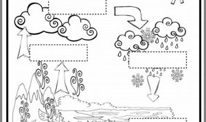 Water Cycle Worksheet 1st Grade