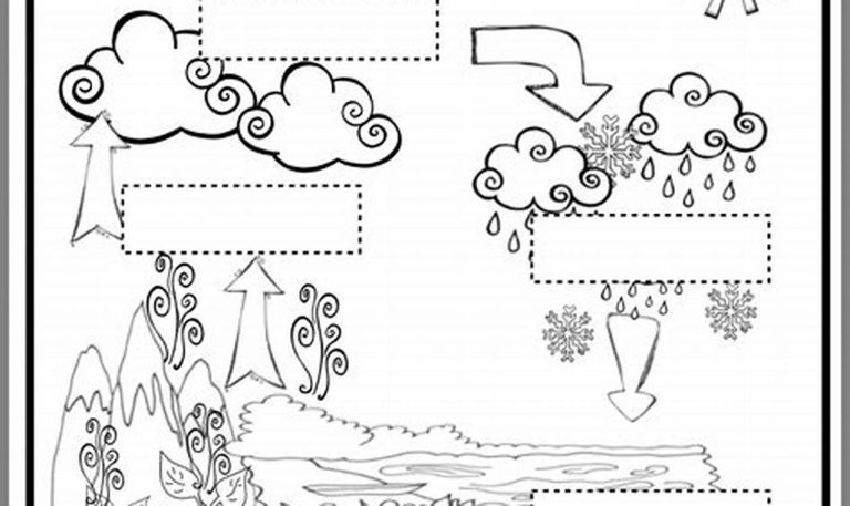 Water Cycle Worksheet 1st Grade