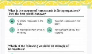 Homeostasis Worksheet Answers Positive And Negative Feedback