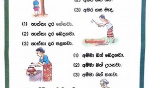 Printable Grade 1 Sinhala Worksheets