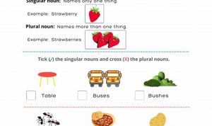 Singular Plural Worksheets For Grade 1