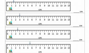 Length Measurement Worksheets Grade 3