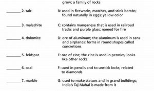 Science Worksheets For Grade 6