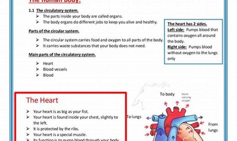 Cambridge Science Worksheets For Grade 6