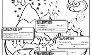 Labeling The Water Cycle Worksheet Answers