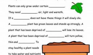 Science Worksheets For Grade 5 Plants