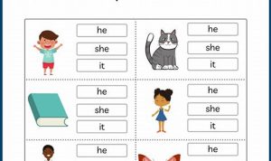 Personal Pronouns Worksheet For Grade 2